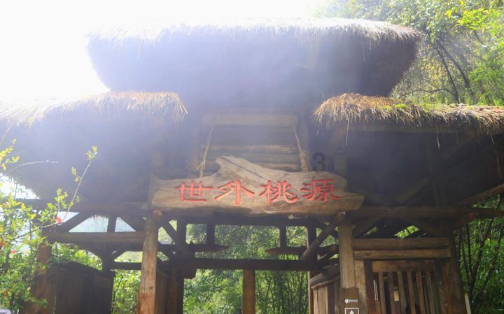 郑钦文能否问鼎澳网冠军？